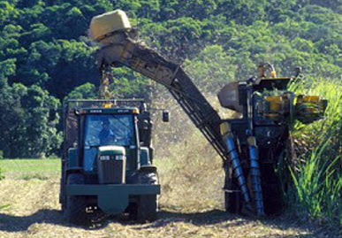 Sugar Mills
